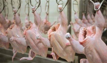 في هذه المنطقة.. ضبط مسلخَين غير شرعيَّين للدواجن وختمهما بالشمع الأحمر