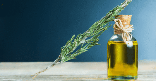 Rosemary oil strengthens memory and enhances concentration: a scientific study reveals amazing benefits for the brain