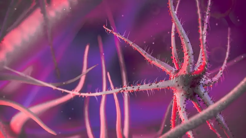 دراسة تكشف: الفيروسات ربما تكون مفتاحًا لعلاج عدوى “المكورات” القاتلة