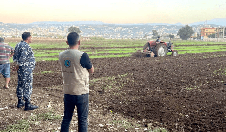 “الزراعة”: إتلاف محاصيل مخالفة وإغلاق أراضٍ بالشمع الأحمر