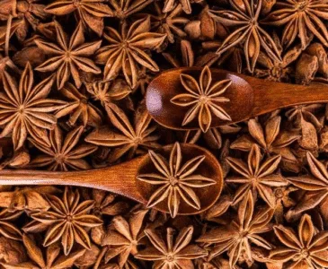 Health benefits of anise… Learn about the body’s natural treasure