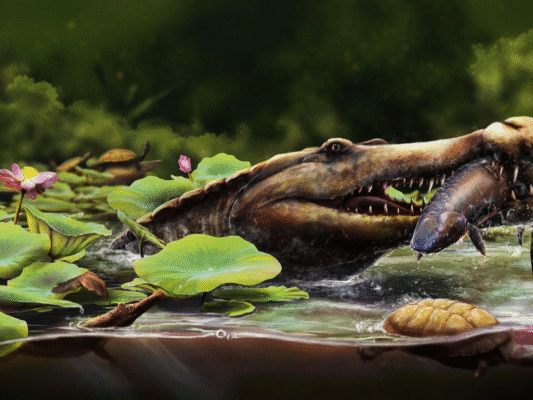 “تمساح الوادي”: اكتشاف مذهل لوحش مصري عتيق فاق الديناصورات قوة