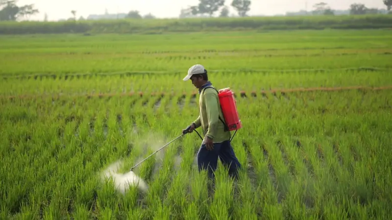 For Men: Widespread Substance Raises Fertility Concerns