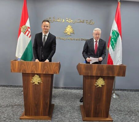 Raji: The Lebanese State Alone Has the Right to Possess Weapons