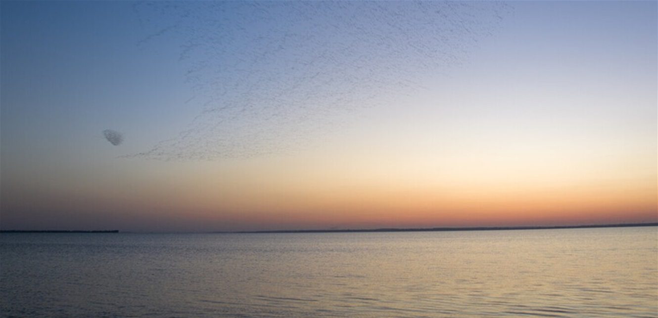 World: Which countries have the largest freshwater reserves?