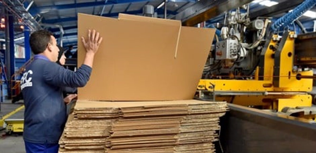 تحذيرات من كارثة تهدد صناعة الكرتون ومصائر مئات العاملين