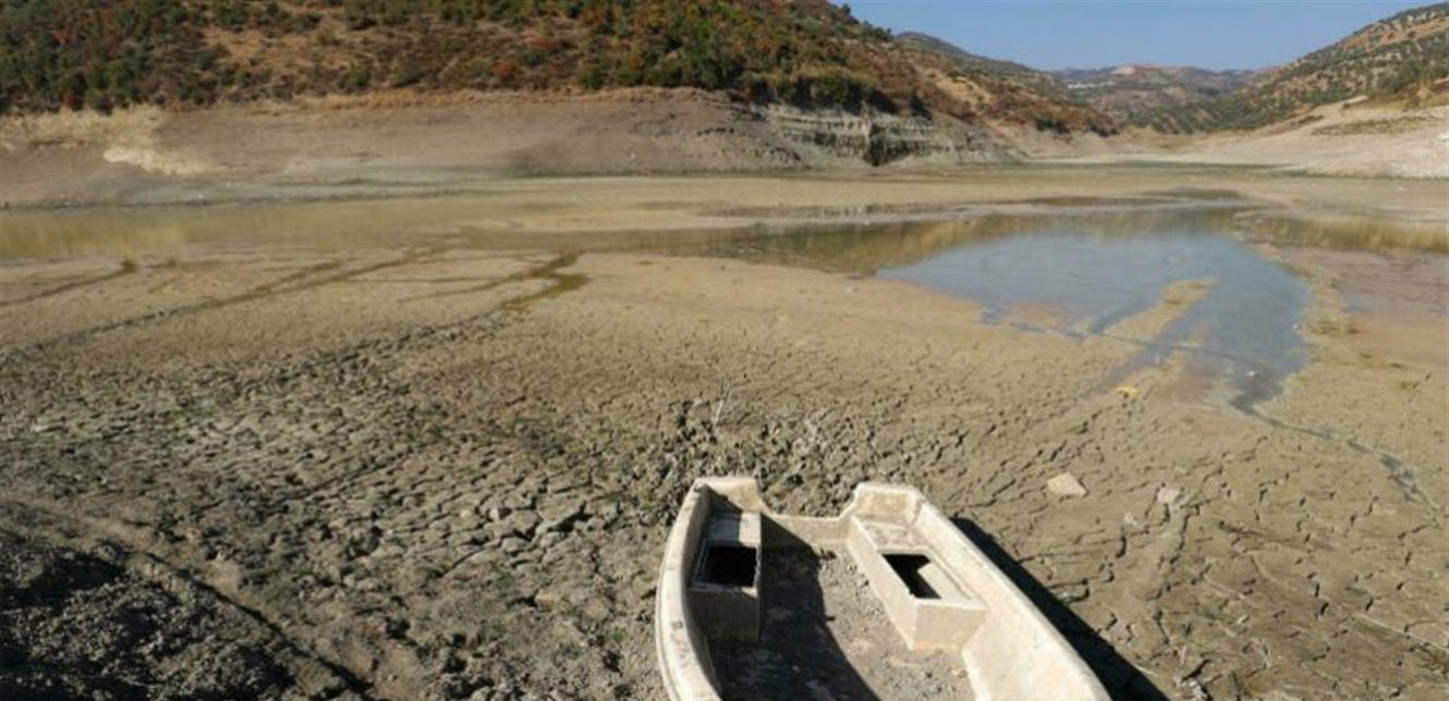 Syria: Drought Threatens Wheat Crop, Anticipating Worst Food Season in Forty Years