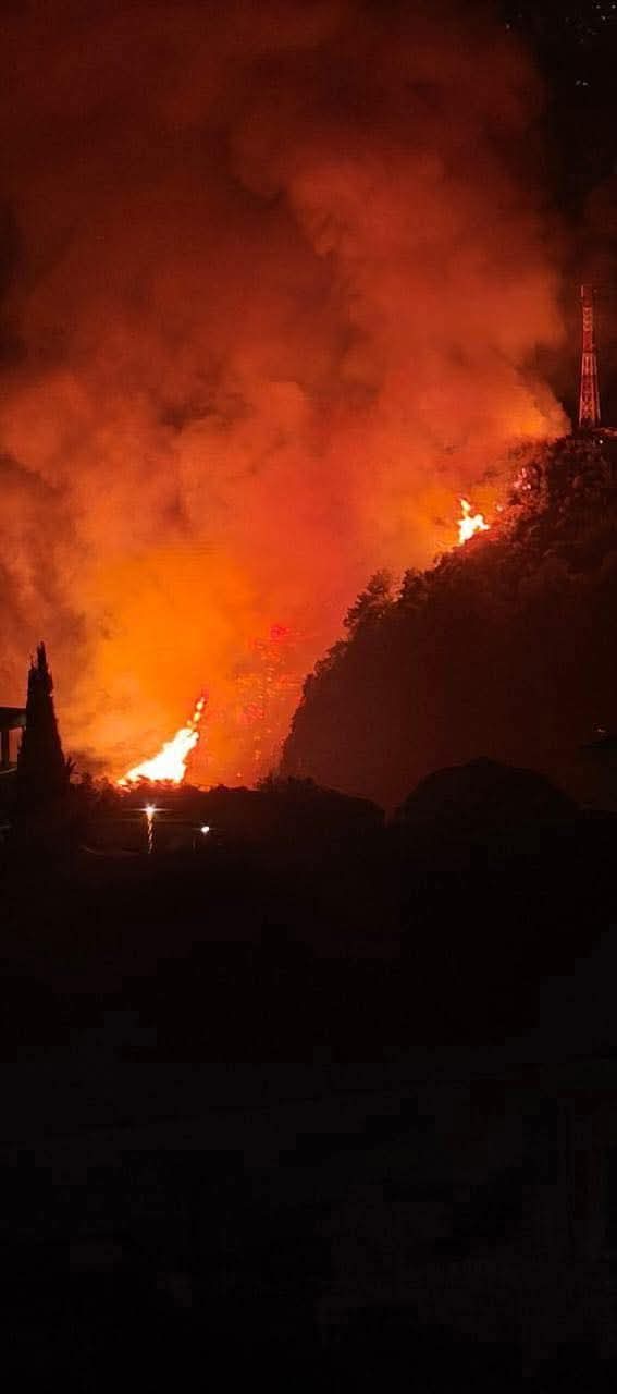 حرائق الضنية تتصاعد… وصعوبات تواجه فرق الإطفاء بعد انقلاب آلية