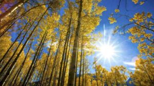 صيف تشرين مستمرّ… متى تُمطر؟