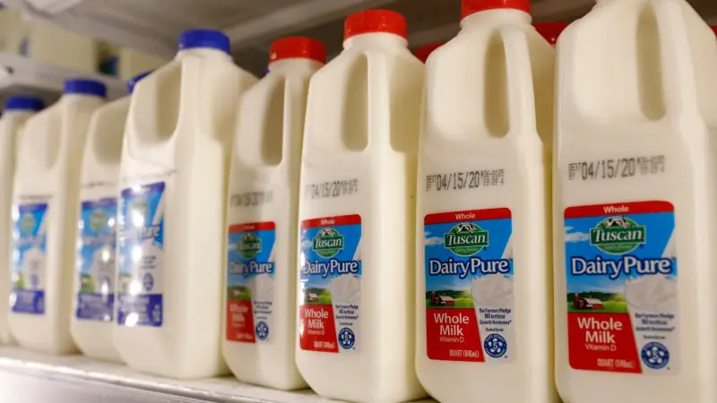 وصول جزيئات البلاستيك إلى مائدتك اليومية: دراسة جديدة تلقي الضوء على الأمر