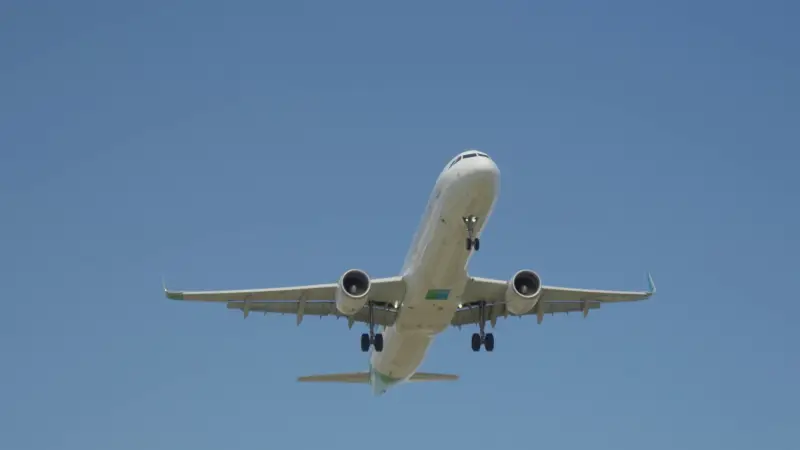 Study Reveals: Imminent Health Risk Facing Air Travelers