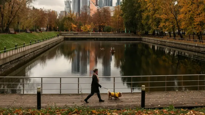 دراسة تكشف: الكلاب تحدث تعديلات في ميكروبيوم الأمعاء تعزز الصحة النفسية