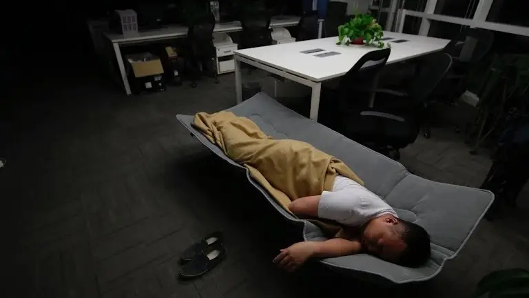 Study Reveals: Gut, Not Brain, is Key to Sleep Quality