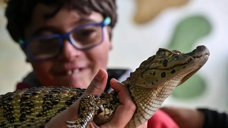 دراسة حديثة تحدد 4 أنماط مختلفة للتوحد.. اكتشفها