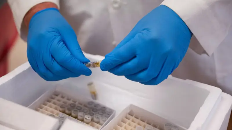 The Gut: Friendly Bacteria Protect Against the Risk of Diabetes, What’s the Secret?