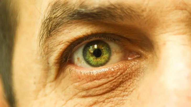 Compounds in Tea and Cocoa Enhance Eye Health