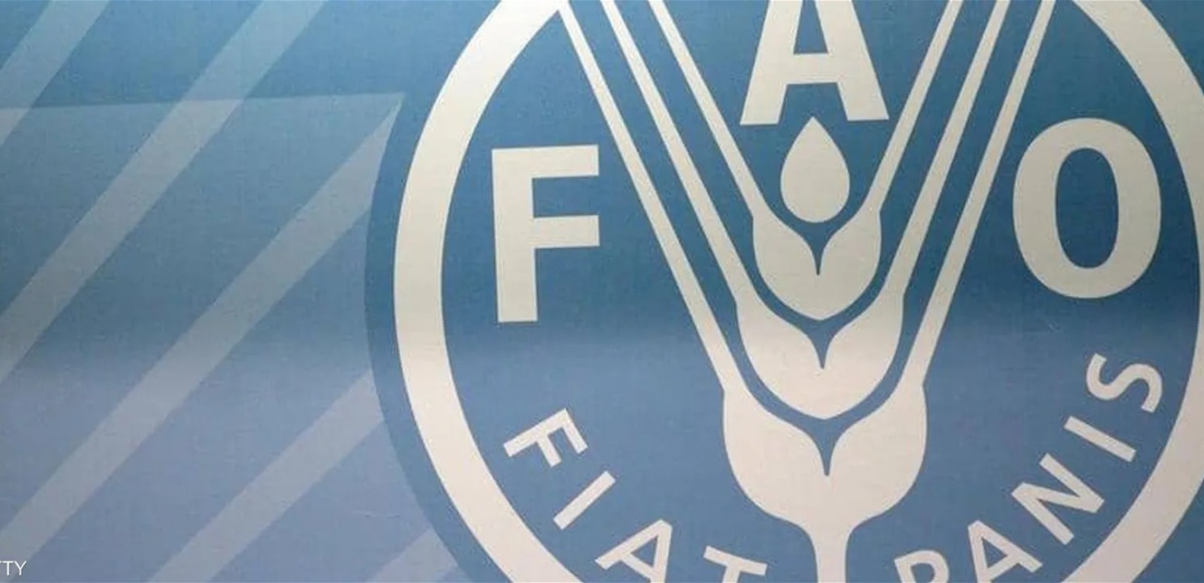 Global Food Prices Decline for Third Consecutive Month, Despite High Grain Costs