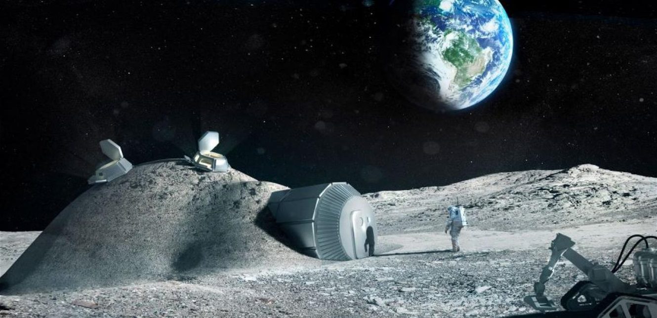 العربية:</strong width=