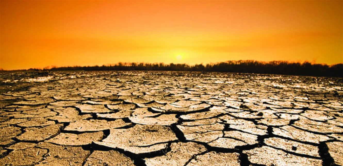 What is the primary driver exacerbating global warming?