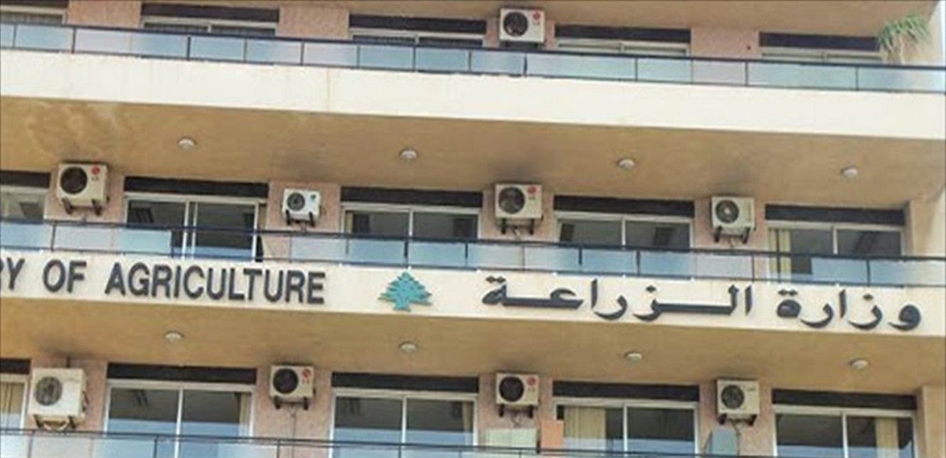 “Agriculture Ministry: 80 Decisions and Circulars to Develop the Sector by 2025”