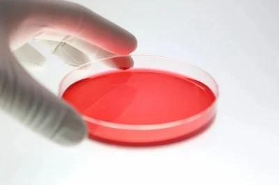 بالفيديو: مبروك: ترياق السرطان دخل مستشفيات لبنان.. الى كل من يعاني من “الخبيث”: ابشروا بالخير!