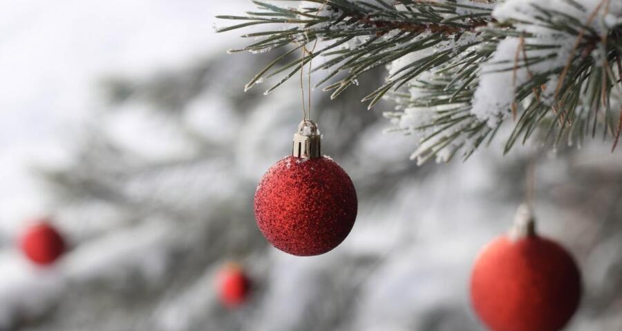 طقس ما قبل الميلاد يحمل مفاجآت… دفء نهاري وضباب كثيف وتحذير ليلي