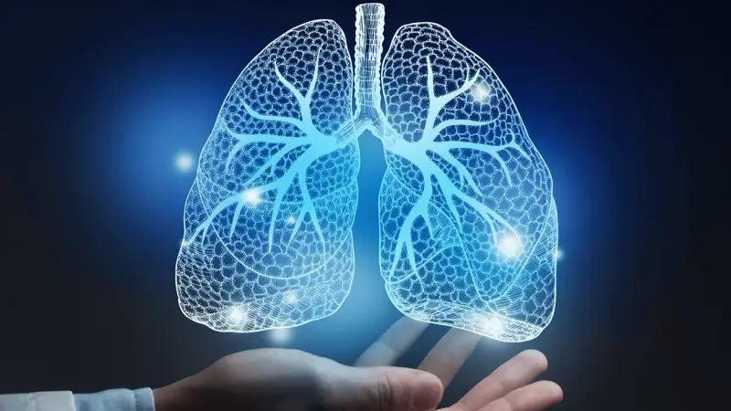 Scientific Breakthrough: Stem Cell Technology Produces Miniature Lung Model