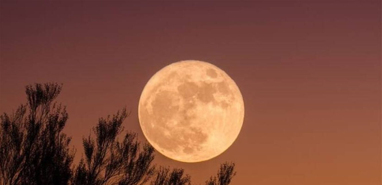 The Sun Reaches Peak Size: Watch What Happens Saturday, January 3rd