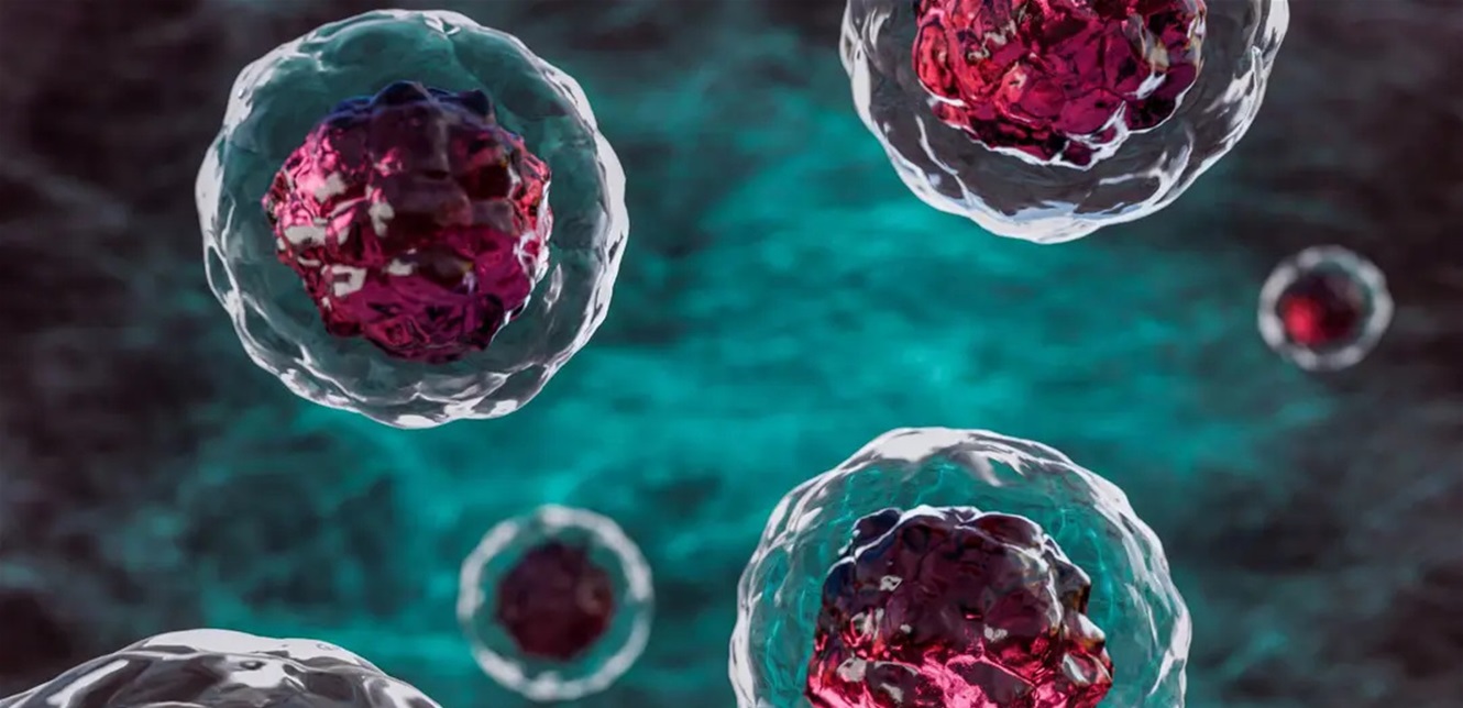 نجاح باهر: طباعة هياكل ثلاثية الأبعاد داخل خلايا بشرية حية على يد باحثين