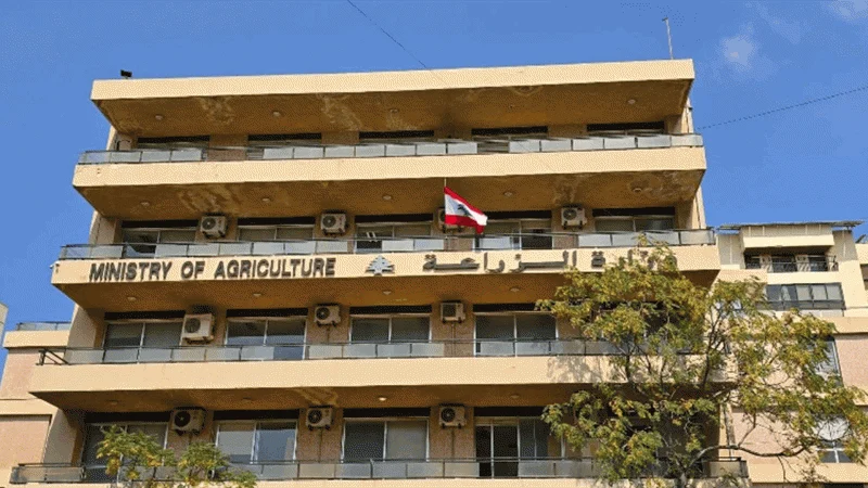 وزارة الزراعة: تحديد مصدر فيروس الحمى القلاعية وتوضيح مساره نحو لبنان