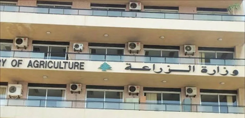 الأضرار بالغة: فيضانات الشمال تهدد القطاع الزراعي.. ووزارة الزراعة تطالب بتدخل عاجل!