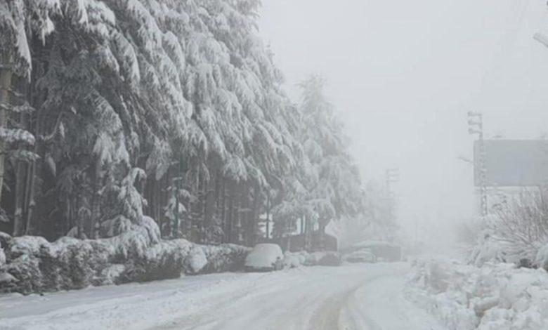 استراحة دافئة قبل العواصف… منخفض جوي يطرق أبواب لبنان