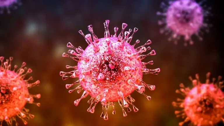 An increase in deaths due to cancer during the first wave of the Corona pandemic