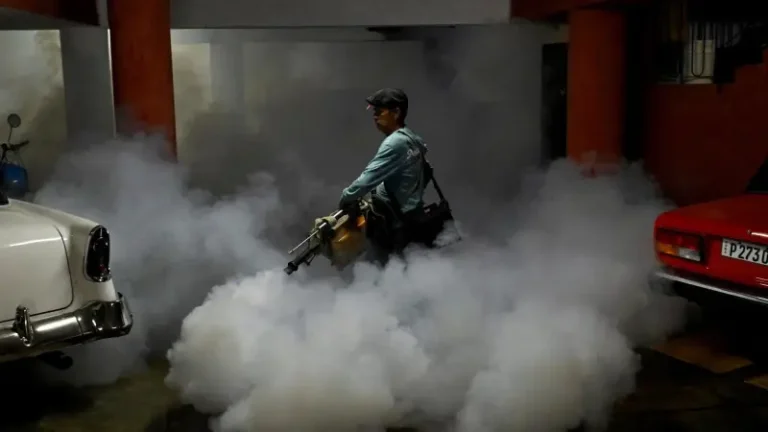 Possible outbreak of deadly chikungunya fever in 29 countries