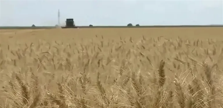 Japan provides $3 million to Sudan to enhance agriculture and food security