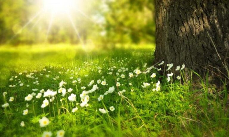 طقس ربيعي يطرق أبواب لبنان