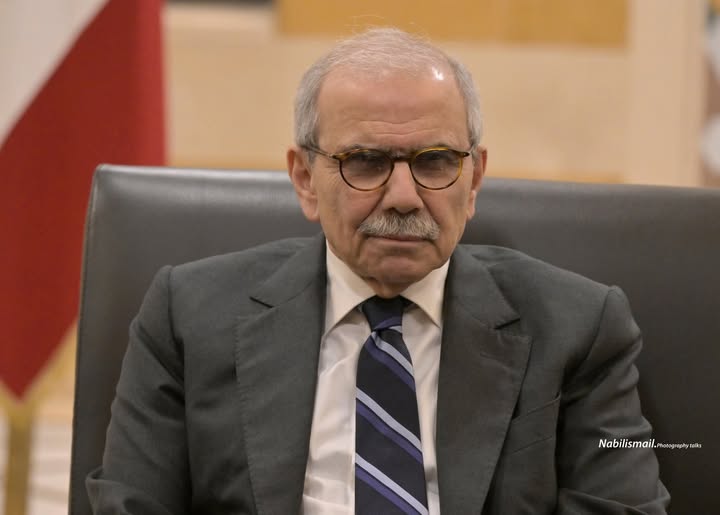 إجراء وقائي: سلام يتلقى تقريراً لتجنب إدراج لبنان على “القائمة السوداء”