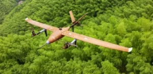 “Airplane made of bamboo”: discover its advantages and specifications