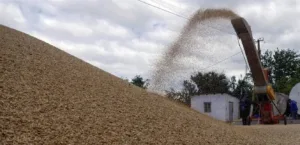 CHS wins the tender to supply barley to Jordan