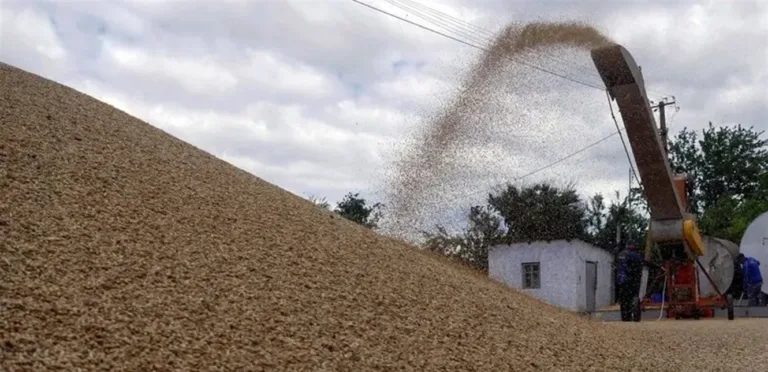 CHS wins the tender to supply barley to Jordan