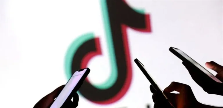 Brazil tightens its grip on TikTok following the circulation of videos inciting violence against women