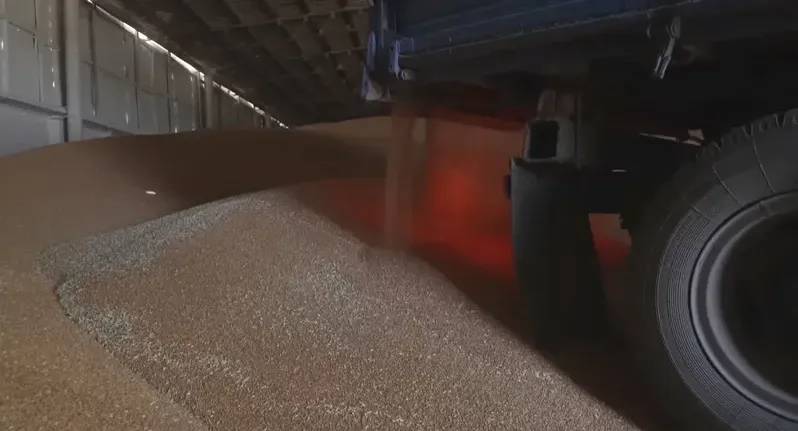 Successful Ukrainian pressure… The “stolen grain” ship will not unload its cargo in Israel