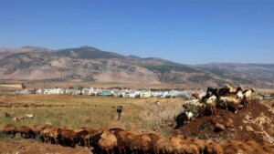 In light of the truce in effect: the municipality of Al-Mari and Al-Majidiya demands permission to access agricultural lands