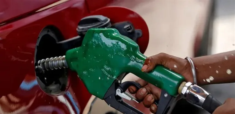 Indonesia plans to stop importing diesel and rely on palm oil fuel