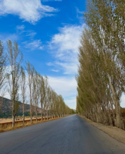 منخفض جوي قادم… ماذا ينتظرنا في الساعات المقبلة؟