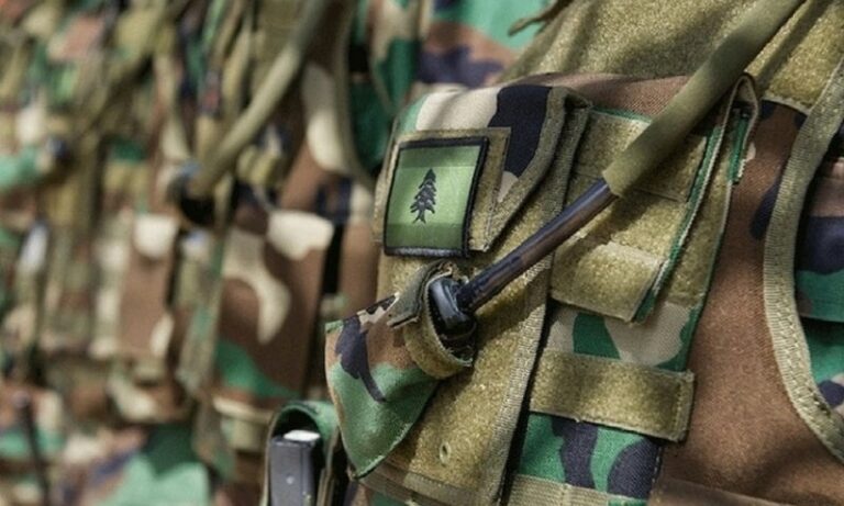 After targeting a bike in Bint Jbeil district…the “Army” announces the martyrdom of a soldier and his brother