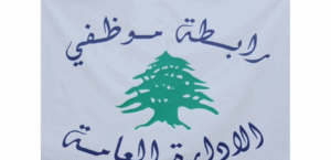Association of Public Administration Employees: The public sector employee is not the cause of the crisis