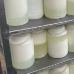زيوت ونشا بدل الحليب… توقيف أصحاب معامل ألبان وأجبان