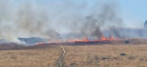 Despite the ceasefire… martyrs, raids, and burning of homes in the south
