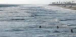 The world is facing climate extremes… El Niño has begun